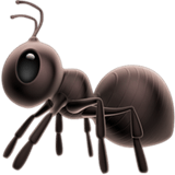 Ant