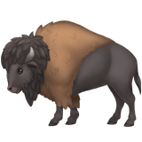 Bison