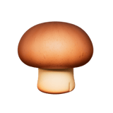 Brown Mushroom