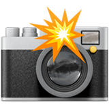 Camera With Flash