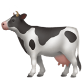 Cow2