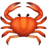 Crab