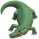 Crocodile