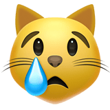 Crying Cat Face