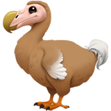 Dodo