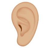 EAR (medium-light)