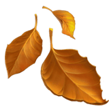 Fallen Leaf