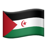 Western Sahara Flag