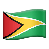 Guyana Flag