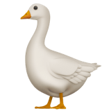 Goose