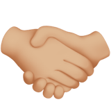 HANDSHAKE (medium-light)