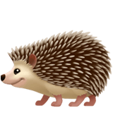 Hedgehog