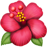 Hibiscus