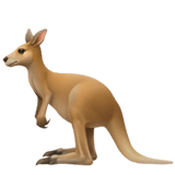 Kangaroo