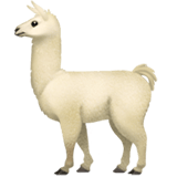 Llama