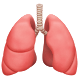 Lungs