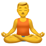 Man In Lotus Position