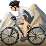 MOUNTAIN BICYCLIST (light)