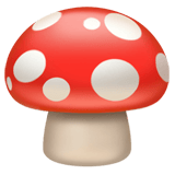 Mushroom