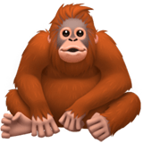 Orangutan