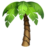 Palm Tree