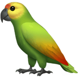 Parrot