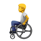 Person In Manual Wheelchair