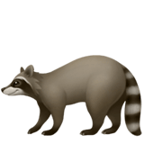 Raccoon