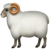 Ram