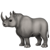 Rhinoceros