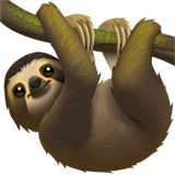 Sloth