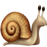 Snail