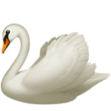 Swan