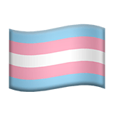 TRANSGENDER FLAG