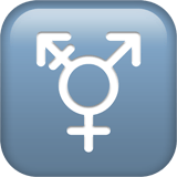 Transgender Symbol