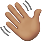 WAVING HAND SIGN (medium)